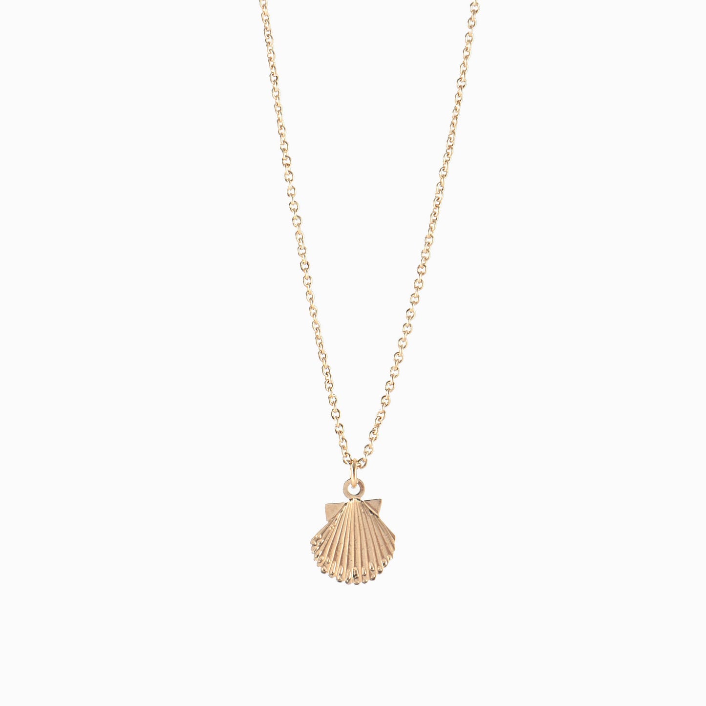 LONGBEACH Seashell Necklace