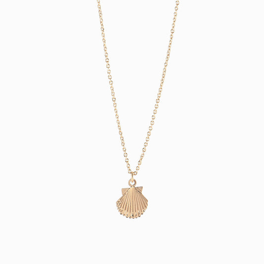 LONGBEACH Seashell Necklace