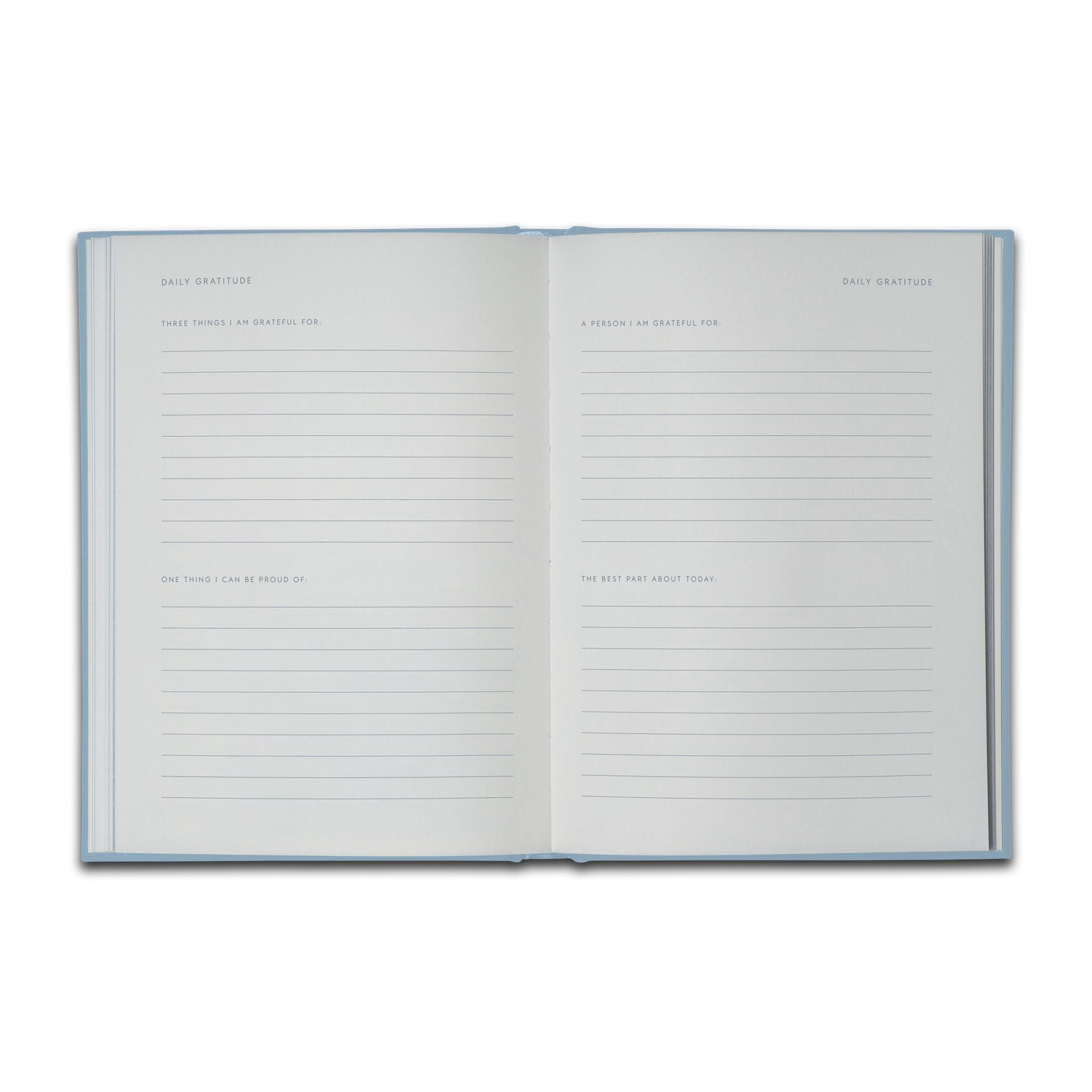 Taknemmelighedsdagbog